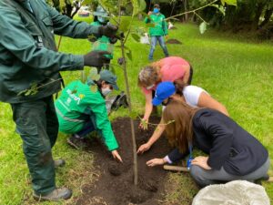 Plantación de árboles y más eventos para celebrar la Semana Ambiental 2022  en Noticias Principales de Colombia Radio Santa Fe 1070 am