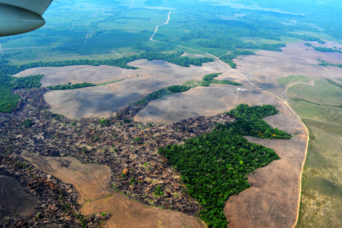 sigue-incontenible-la-deforestaci-n-de-la-amazon-a-colombiana-m-s-de